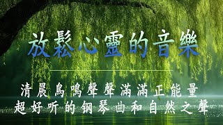 放鬆心靈的音樂 🎵 清晨鳥鳴聲聲滿滿正能量  超好听的钢琴曲和自然之聲  放鬆解壓  放鬆音樂 [upl. by Latia]