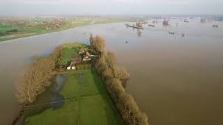 Hoog water in de IJssel nabij Brummen 11 januari 2018 [upl. by Hunger801]