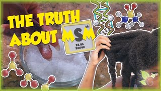 The truth about MSM Does it really make your hair grow [upl. by Uzzia657]