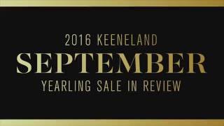 2016 Keeneland September Yearling Sale in Review [upl. by Eicnahc600]