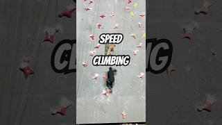 🚨Sport climbing training 🚨 Speed climbing  indianathlete trainlikeachampion fastestsport [upl. by Eekcaj]