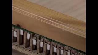 How does a harpsichord work [upl. by Conley]