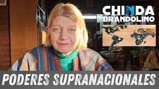 Los Poderes Supranacionales  Dra Chinda Brandolino [upl. by Temme502]