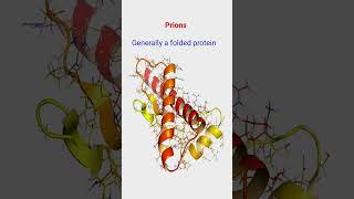 Viroid ll Prions ll Class 11 ll Biology [upl. by Nnylrebma]