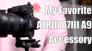 My Favorite Sony A7RIII A7III A9 Accessory  Smallrig 2122 L Bracket [upl. by Maretz]