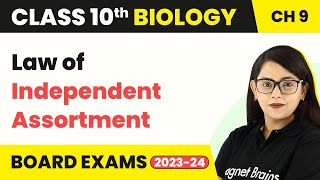 Class 10 Biology Chapter 9  Mendel’s Findings Law of Independent Assortment [upl. by Averill705]