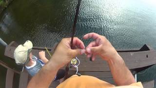 Catching HUGE Bluegills on Lake Minocqua [upl. by Hussey]