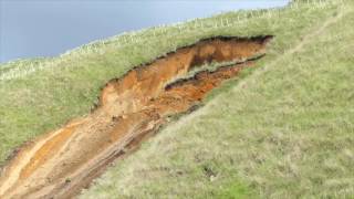 Spectacular Landslide at Papamoa Hills Regional Park in New Zealand [upl. by Essila]