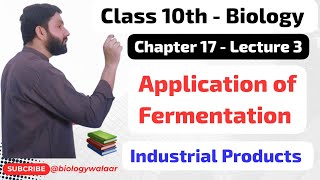 Class 10  Biology  Chapter 17  Lecture 3  Application of Fermentation [upl. by Nerraj]