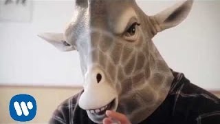 John Berkhout  Short Necked Giraffe Videoclip oficial [upl. by Ertemed]