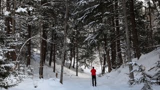 Cross Country Skiing  A Pure Michigan Winter [upl. by Efrem]