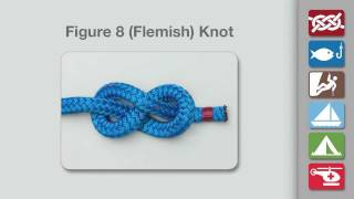 How to Tie a Figure 8 Knot [upl. by Enenaej603]