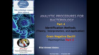 Gram Negative Bacilli Part 3 Haemophilus [upl. by Leifer883]