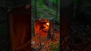 bushcraft build camp camping survival shelter wildlife skills lifehacks forest [upl. by Benoite]