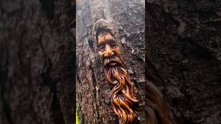 How to Carve a Wood Spirit 152 SHORT  Crooked Chisel TV  Learn to Carve woodcarving art howto [upl. by Suilenroc]