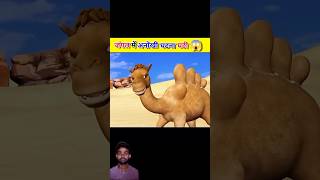 Ghode kahani oont ki khal amazingfacts animation story cartoon shortyt oont camel yt short [upl. by Marius]