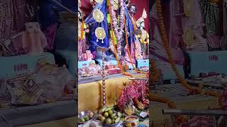 shortsfeed shortvideo durgapuja [upl. by Calvert886]