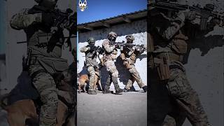 Belgian malinois at frontline in military operationshorts malinois dog military [upl. by Augie]