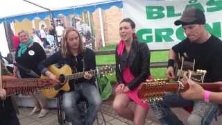 Amaranthe  Hunger Acoustic with key fiddle and folk guitar [upl. by Malchy853]