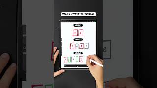 Walk cycle animation tutorial for beginners animation walkcycle procreate [upl. by Andrel]