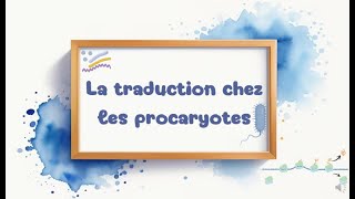 la traduction chez les procaryotes [upl. by Adnohsed]