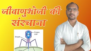 Structure Of Bacteriophage  T4 Bacteriophage  Microbiology  By Ashish Sir  Coliphage Virus [upl. by Kittie376]