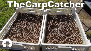 Bait Making  The Basics Carp fishing [upl. by Risley360]