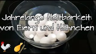 Hähnchen amp Eier Jahre haltbar  Monsieur Cuisine TH [upl. by Rothmuller]