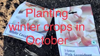 Planting winter crops in October [upl. by Oberon]