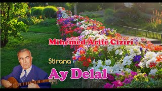 Mihemed Arifê Cizîrî Stirana  Ay Delal ü Pesta çume Gundê Telmusê4K [upl. by Ahsiuqram]