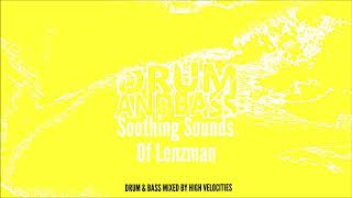 Soothing Sounds Of Lenzman Drum amp Bass DJ Mix [upl. by Aikahs]