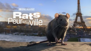 Rats peur sur la ville [upl. by Aelak399]