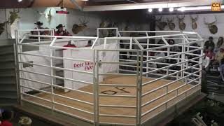 Part 1 Deer Valley Farms Production Sale Fayetteville TN NOV 2024Nov09110524mp4 [upl. by Loring]