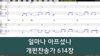 은성 반주기 얼마나아프셨나  개편찬송가614장 [upl. by Einaej]