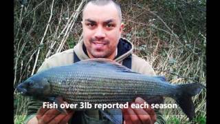 Christchurch Angling Club  Grayling [upl. by Gessner]