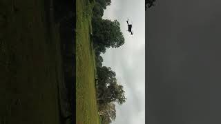 Hamne 5000 me drone kharida or phir aage kya hua viralvideo drone drones dronevideo live yt [upl. by Anits]