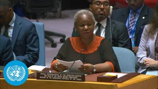 MONUSCO Chief on the Democratic Republic of the Congo Situation  UN Security Council Briefing [upl. by Tresa135]