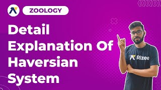 Haversian System  Structural organization in animals  Zoology  EAMCET 2022  Important Concept [upl. by Yasdnil433]