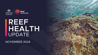 Reef Health Update  November 2024 [upl. by Ennaylil]