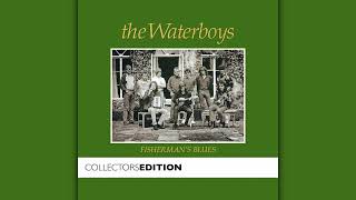 The Waterboys  Fishermans Blues FLAC [upl. by Eiramaneet864]