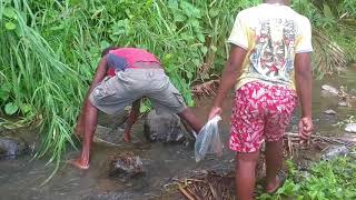 CATCHING CRAYFISH [upl. by Veradi]