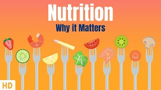 Nutrition And Why It Matters [upl. by Aroled941]