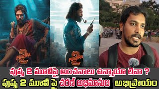 Public Opinion On Pushpa 2 movie  Allu Arjun Pushpa 2 Sukumar Maitri movie makers  public talk 73 [upl. by Dressel40]