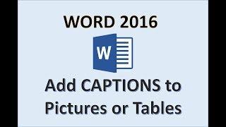 Word 2016  Picture Captions  How to Insert a Text Caption in an Image MS Office Microsoft Tutorial [upl. by Ait]