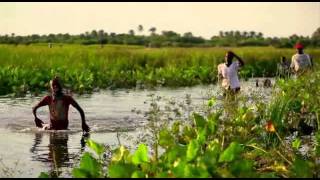 Surrounded By Death  Cholera in Haitis Waters [upl. by Atikir]