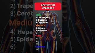 Can You Pass This Anatomy Quiz and Become a Master [upl. by Morice]