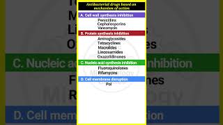 Antibacterial drugs based on mechanism of action  shortvideo [upl. by Nnailuj]