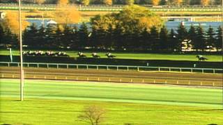 1996 Breeders Cup Turf [upl. by Neenej]