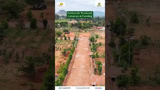 Best Premium Farmland near North Bangalore  Elegant Orchards Estate groavybuilders [upl. by Robinetta]