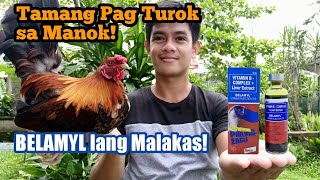 Tamang Pag Turok sa Manok  Right way to Inject Chicken [upl. by Tannenbaum]